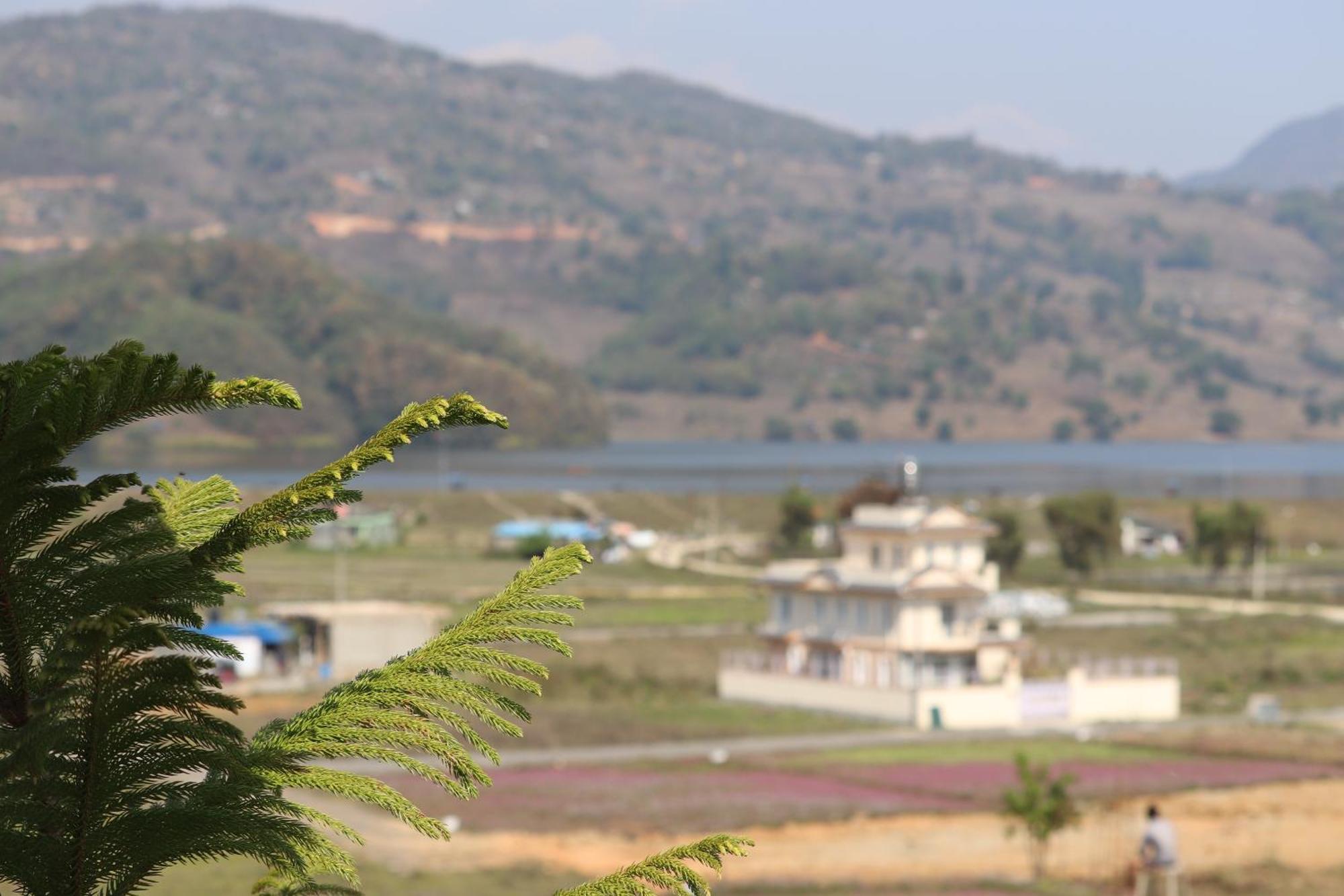 Hotel Young'S Stupa Ranipauwa Exterior foto